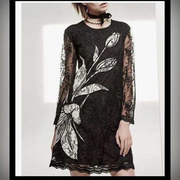 Sachin + Babi Black and White Floral Lace Dress - Picture 8 of 8